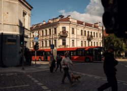 Vilniaus gatvėje praeiviai eina šalia raudonų miesto autobusų