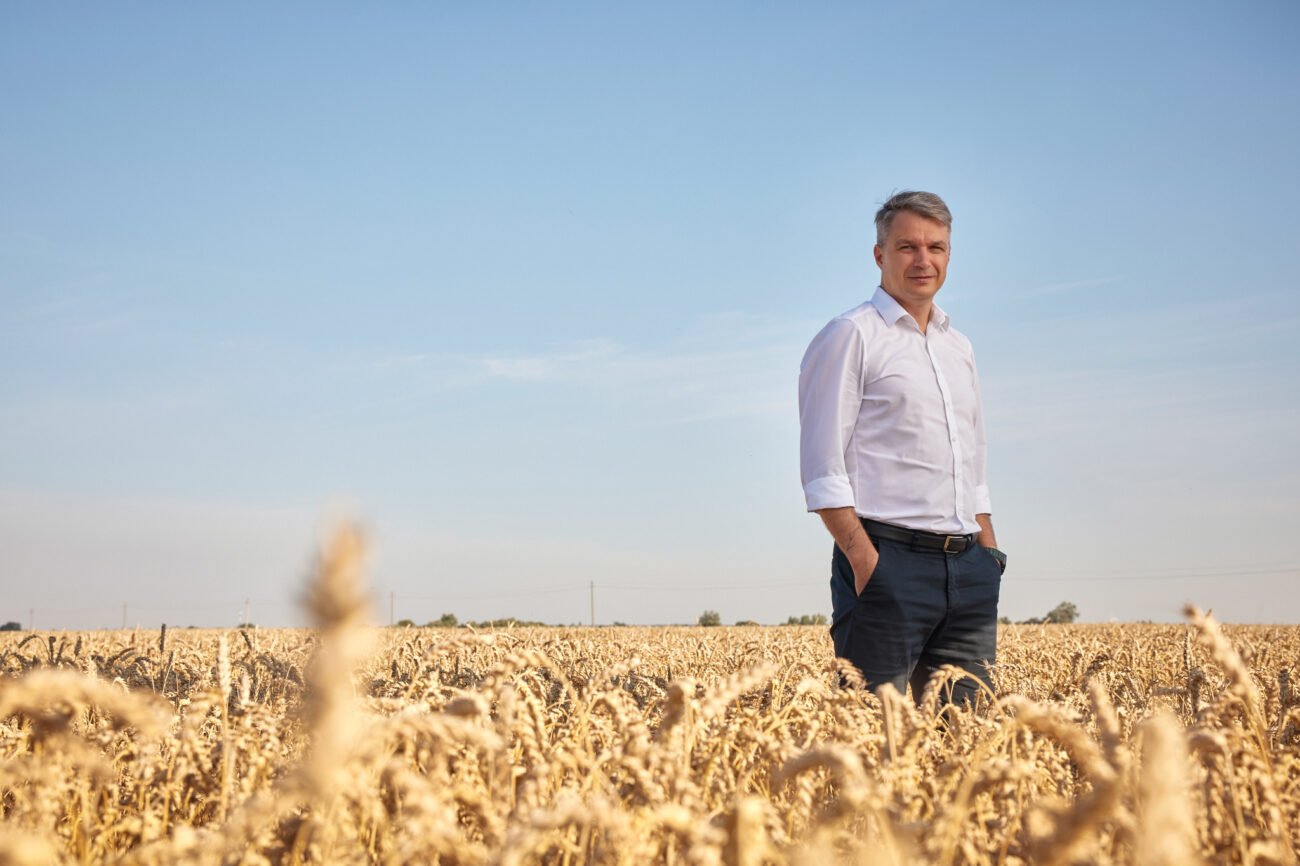Vyras stovi auksiniame kviečių lauke po giedru dangumi