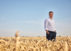 Vyras stovi auksiniame kviečių lauke po giedru dangumi