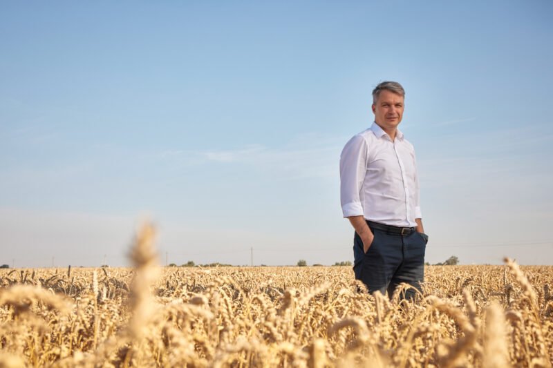 Vyras stovi auksiniame kviečių lauke po giedru dangumi