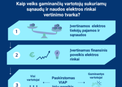 VERT infografikas apie gaminančių vartotojų poveikio elektros rinkai vertinimą