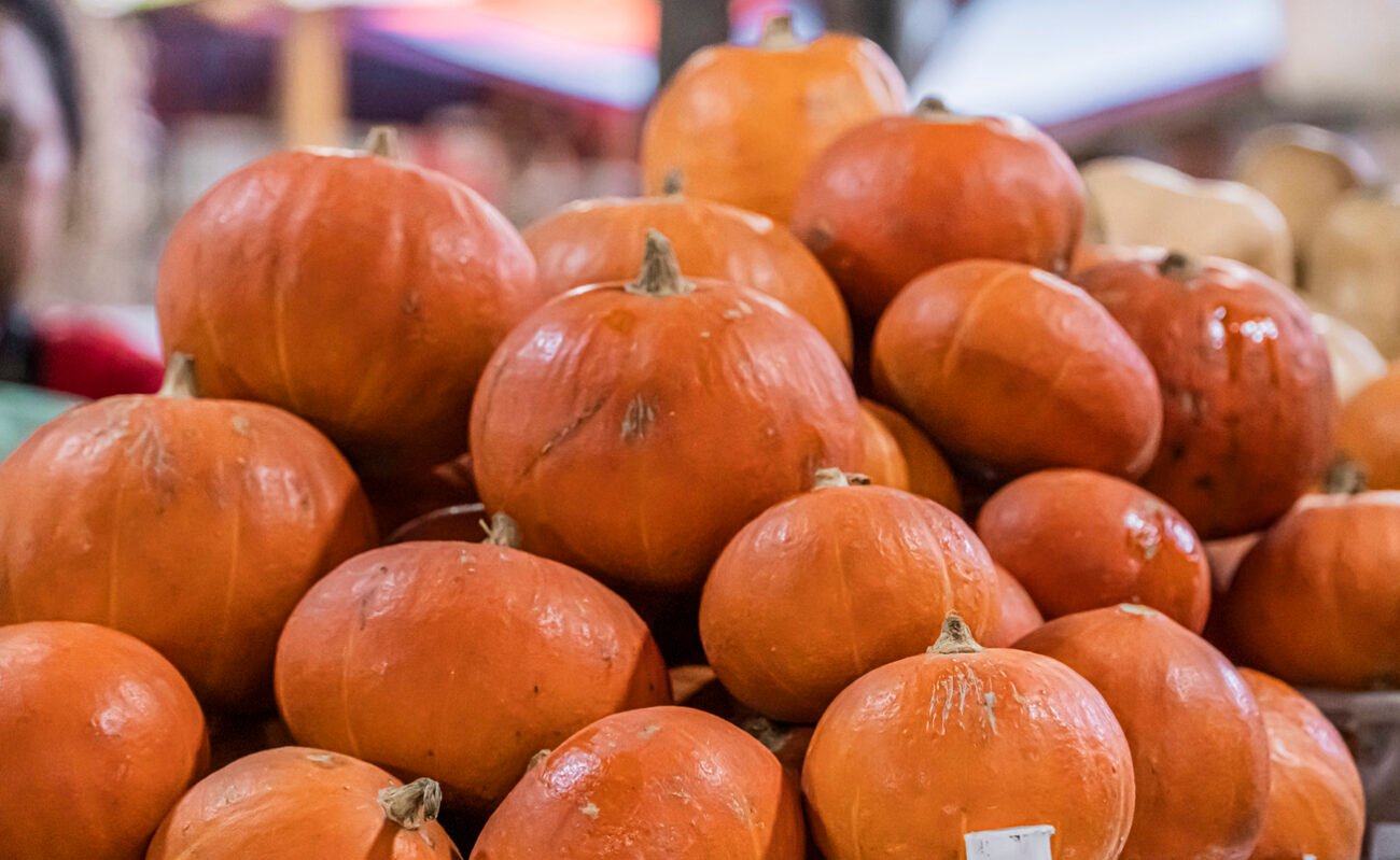 Įvairių dydžių oranžiniai moliūgai sukrauti į didelę krūvą