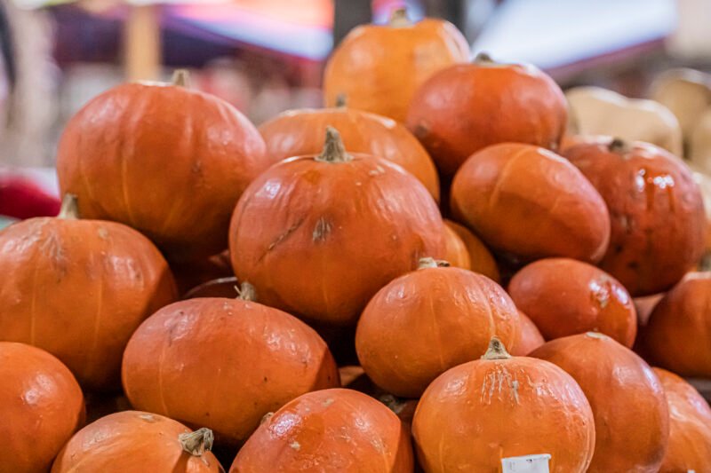 Įvairių dydžių oranžiniai moliūgai sukrauti į didelę krūvą