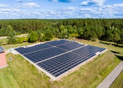 Ant žolės įrengta didelė saulės elektrinė šalia miško