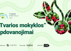„Tvarios mokyklos“ apdovanojimų grafinis plakatas su žaluma ir raudonomis uogomis