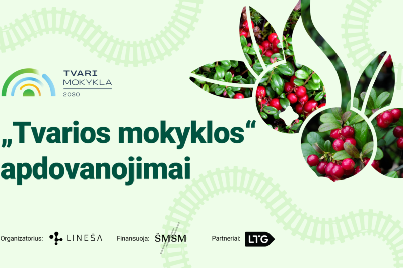 „Tvarios mokyklos“ apdovanojimų grafinis plakatas su žaluma ir raudonomis uogomis