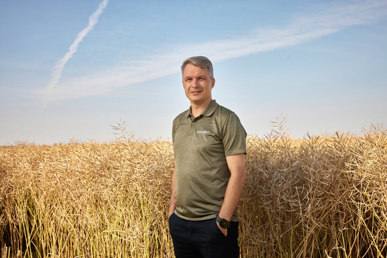 Vyras stovi auksaspalviame javų lauke po mėlynu dangumi
