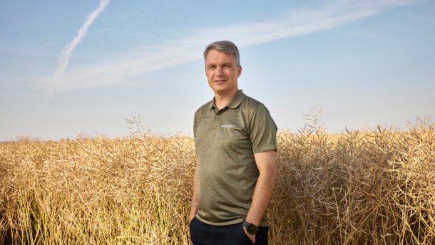 Vyras stovi auksaspalviame javų lauke po mėlynu dangumi